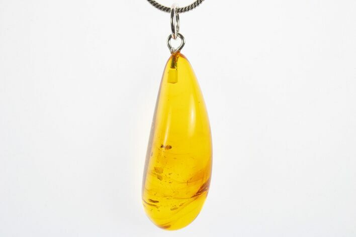 Polished Baltic Amber Pendant (Necklace) - Contains Insect! #311004